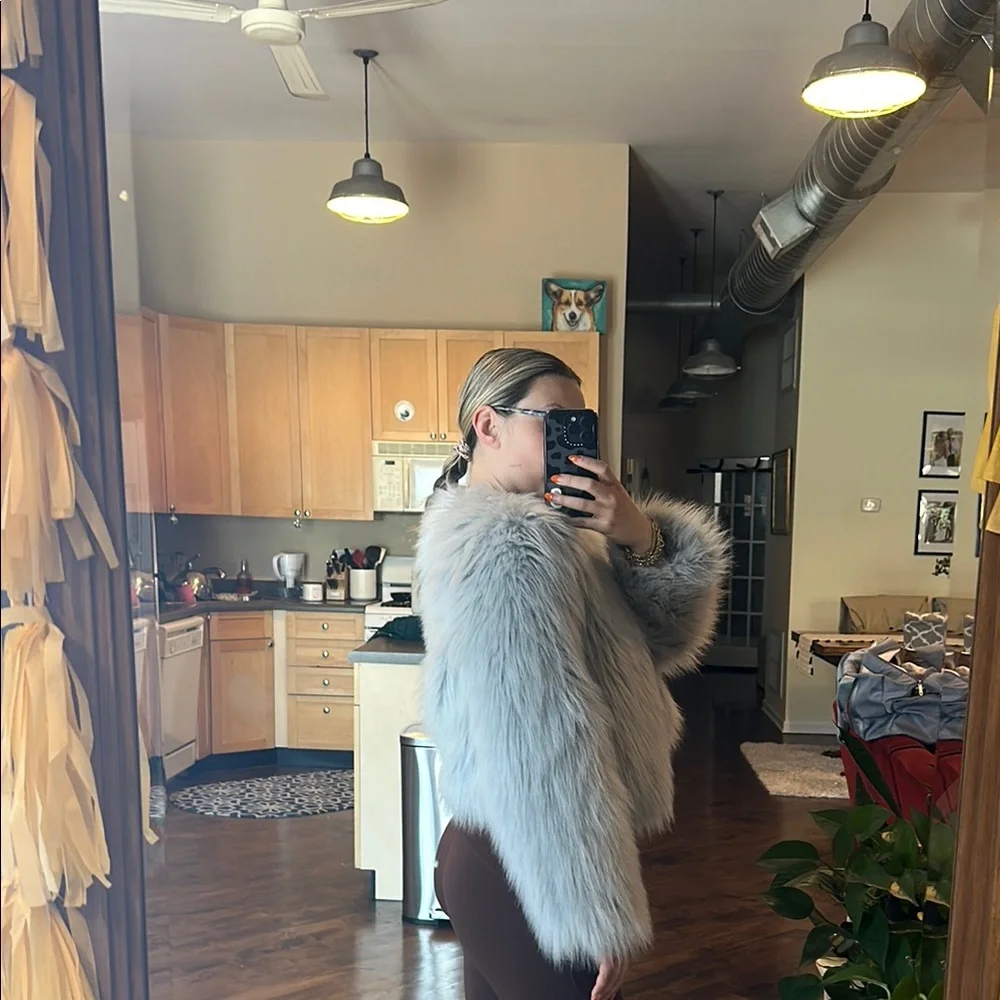 Zara Gray/Light Blue Cropped Plush Faux Fur - Picture 3 of 4